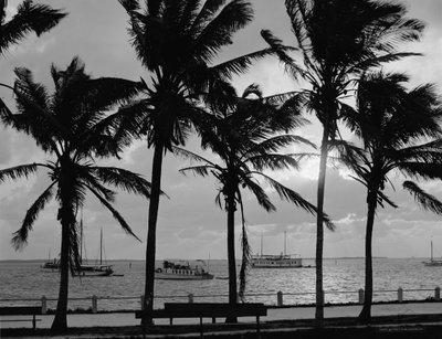 Sunset, Biscayne Bay, Miami, Florida, c.1910-20 by Detroit Publishing Co.